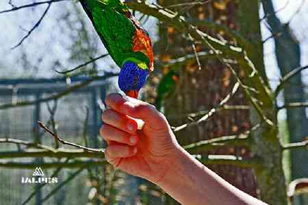 Patrimoine naturel de l'Ain, le parc des oiseaux