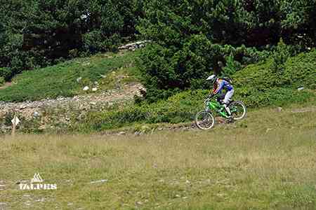 VTT