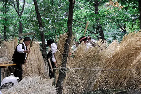 Vallée d'Aoste, fête gastronomique du lard d'Arnad. Battage du blé à l'ancienne. 