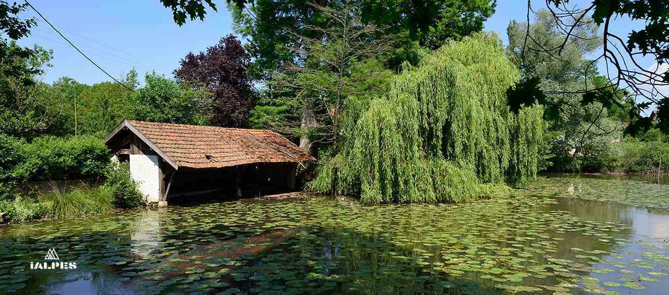 Dompierre-sur-Veyle, Ain