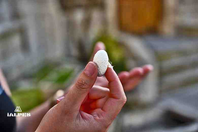 Cocons et fil de soie