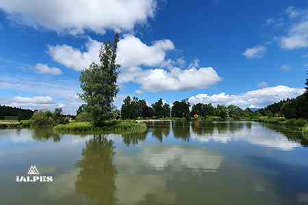 Patinoire
