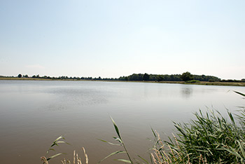étangs de la Dombes