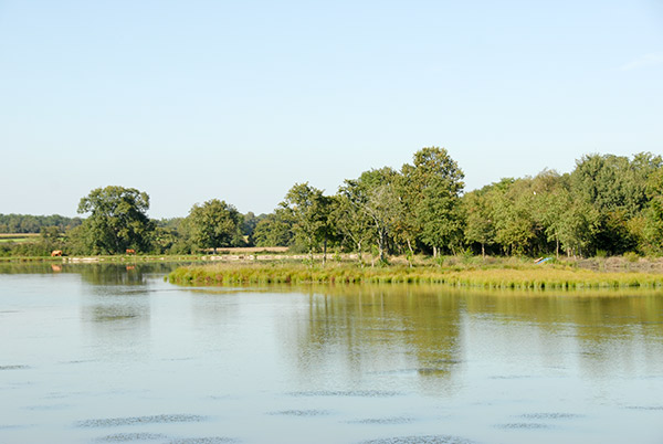 étang de la Dombes, Ain