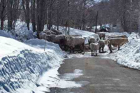 Valromey, Ain