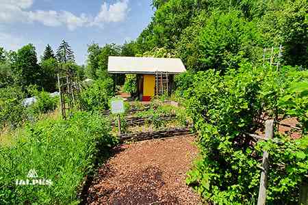 Jardin des Cimes, Passy