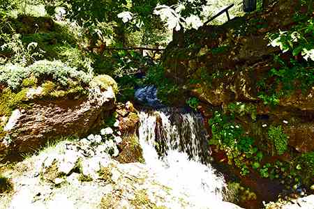 Jardin botanique alpin La Jaysinia, Samoëns