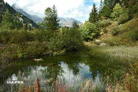 Jardin alpin des Montets