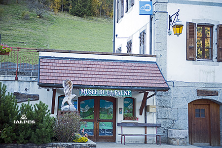 Jardin alpin de Bellevaux