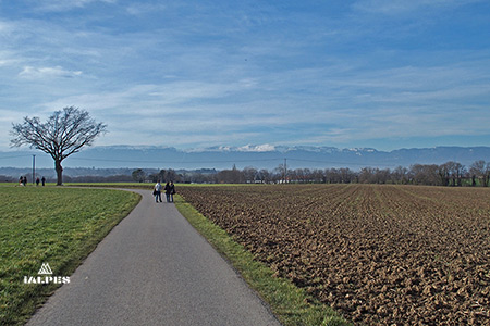 Balade en famille campagne genevoise