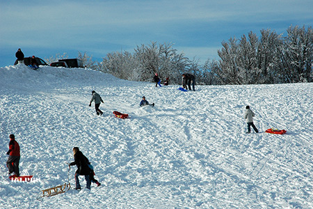 Luge