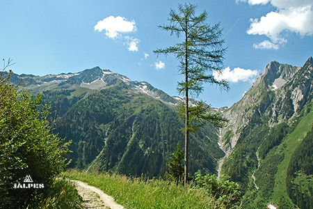 Valais: col de la Forclaz