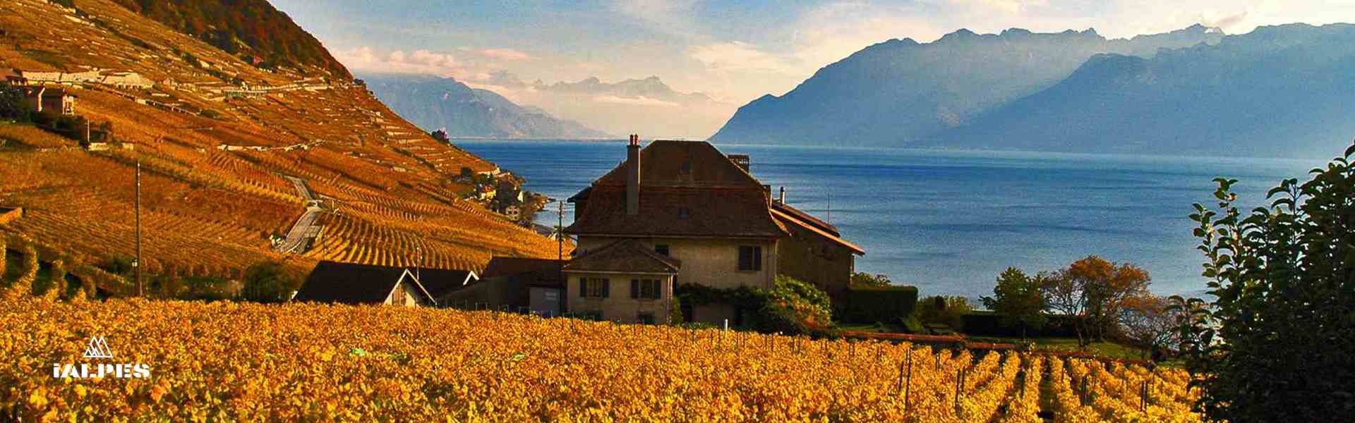 Vignobles de Lavaux, Suisse