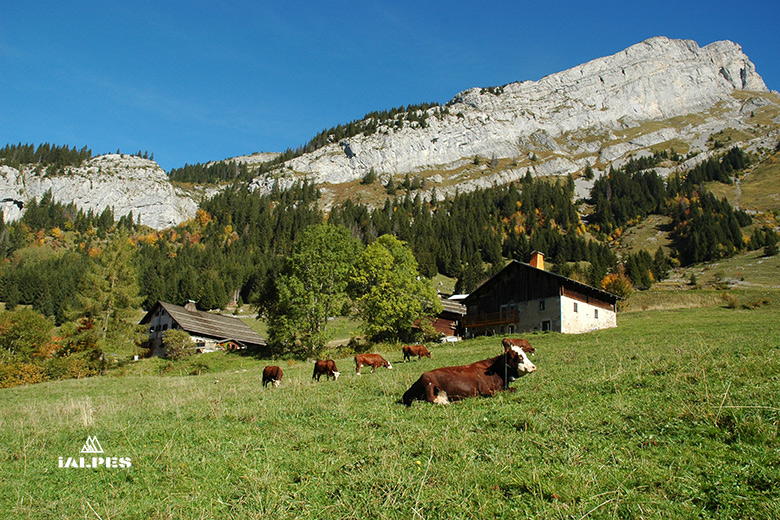 Haute-Savoie, alpage La Clusaz