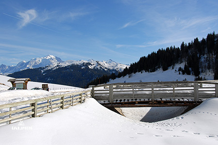 Haute-Savoie: col des Aravis en hiver 