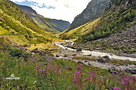 Parc National du Grand Paradis, Vallée d'Aoste