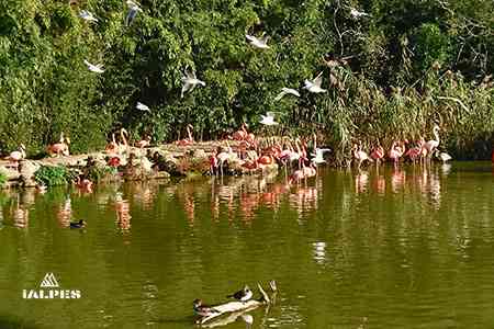 Parc des oiseaux, Villars-les-Dombes, France