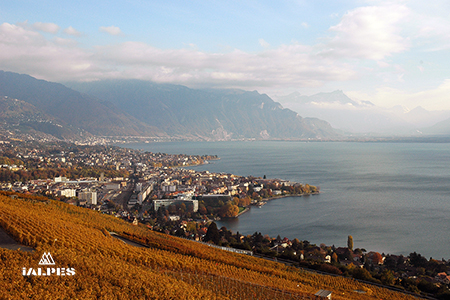 Vaud, la Rivièra et ses vignobles