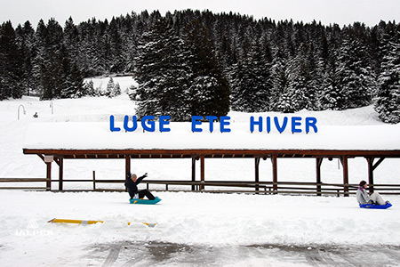 Luge d'hiver