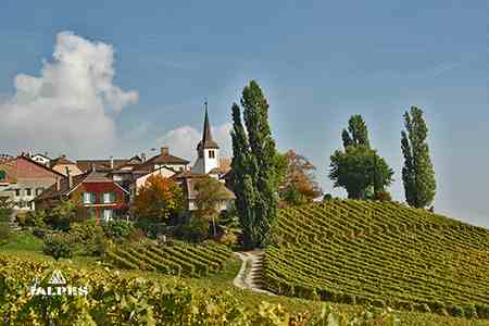 Village dans les vignobles de Vaud, Suisse