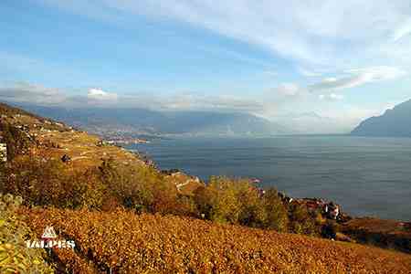 Vignobles de la Côte vaudoise, Suisse