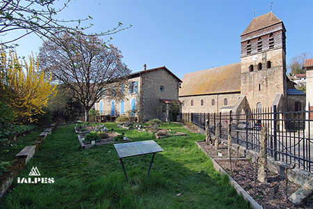 Saint-Chef en Isère, le jardin médiéval.