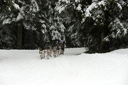 Traineau Jura
