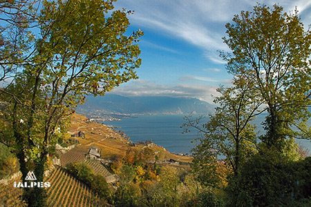 Vue sur la Riviéra vaudoise, Suisse