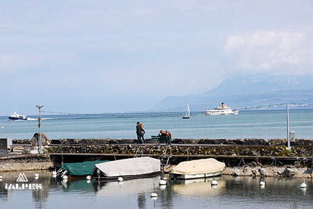 Rives du Léman